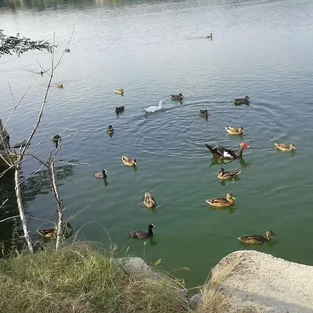 In Riva Al Avigliana